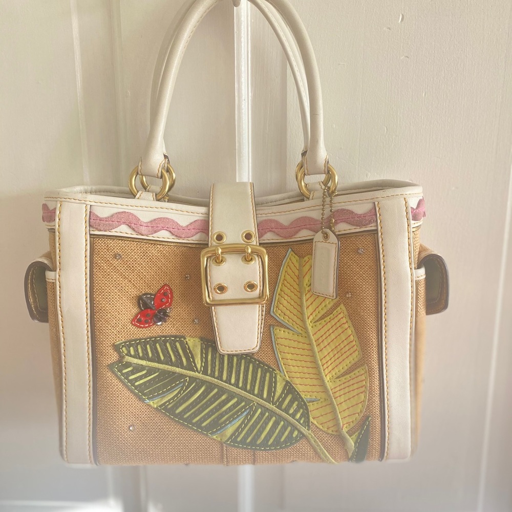Coach Ladybug Bag